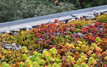 the cost of Chorley Common green roof installation