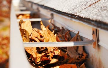 Chorley Common gutter cleaning companies