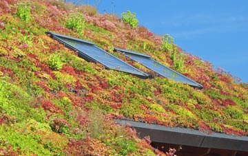 Chorley Common living roof systems