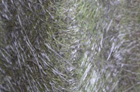 Chorley Common fibreglass roof work